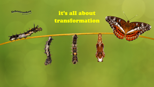 Selbstliebe lehren – wie du mit deiner Geschichte zum Lichtblick für andere wirst