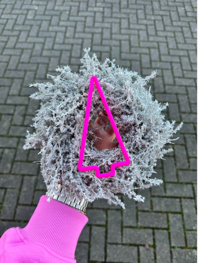 Tannenbaum zum Hängen oder Legen